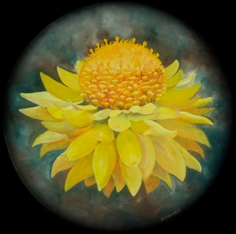 Stephanie Jakovac (Lubek Art Studio)
